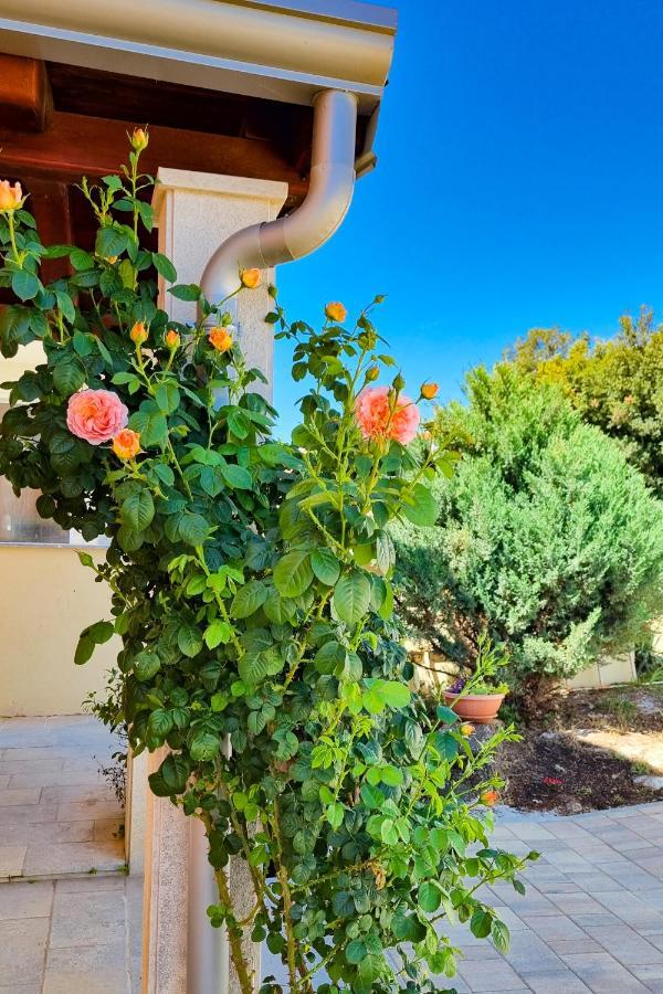 Holiday Home - Istrian Dream With Swimming Pool Peroj Exterior foto